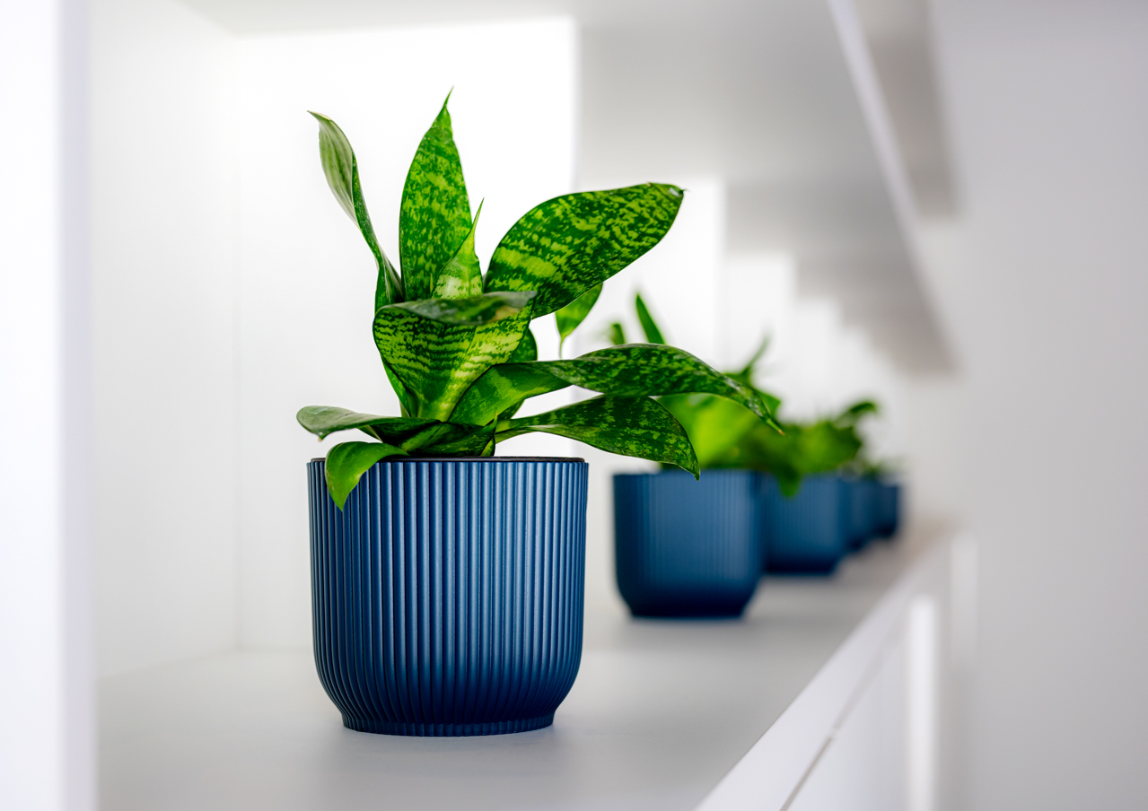 Dekoration im neuen Mieterladen in der Merseburger Straße 88